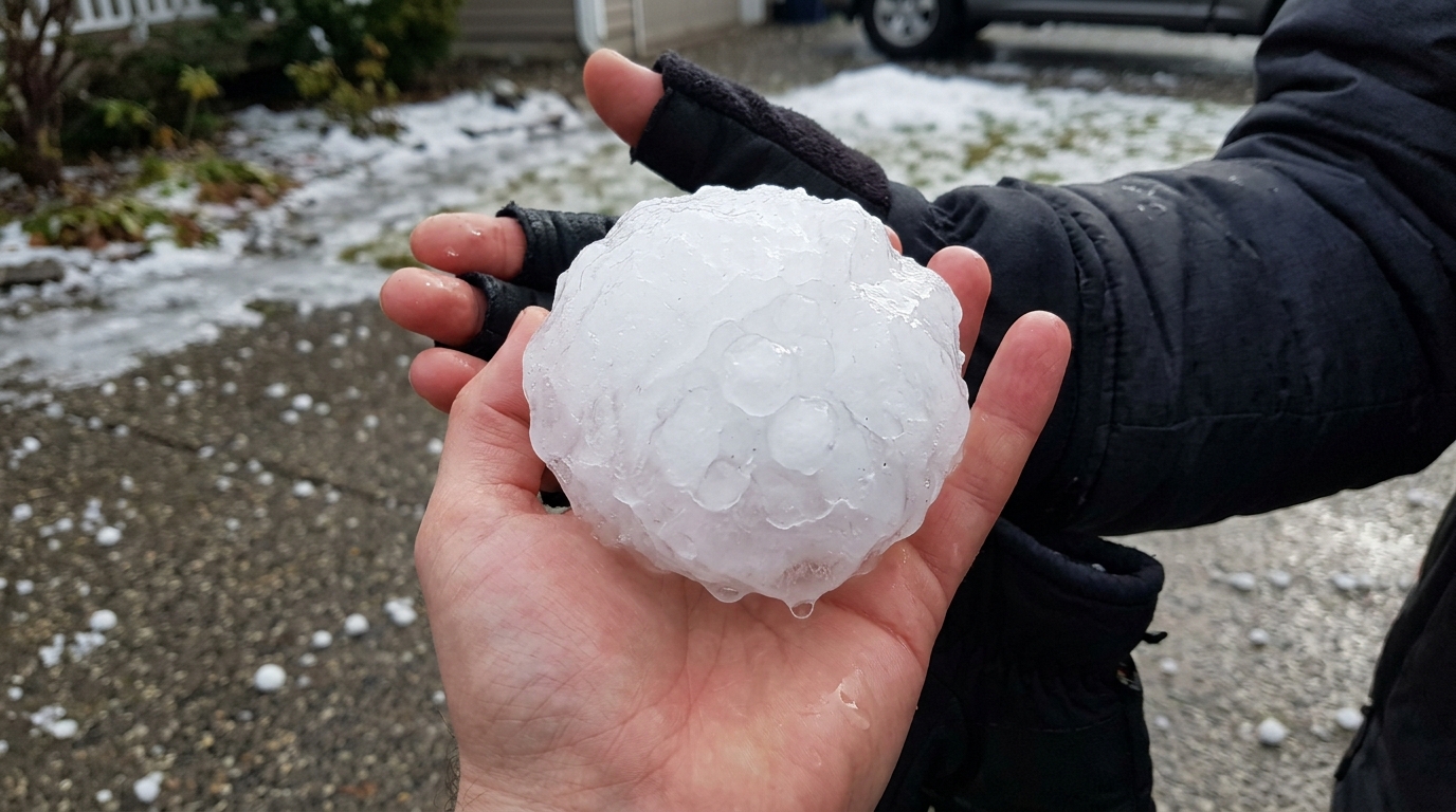 Grapefruit_hailstone_in_hand Texas 